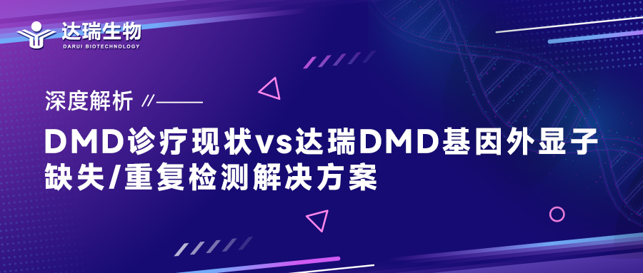 深度解析｜DMD診療現(xiàn)狀vs達瑞DMD基因外顯子缺失/重復(fù)檢測解決方案
